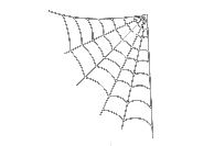 Halloween Spider Web on Filters Widget
